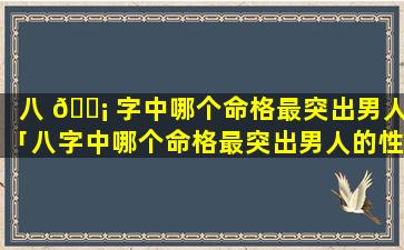八 🐡 字中哪个命格最突出男人「八字中哪个命格最突出男人的性格」